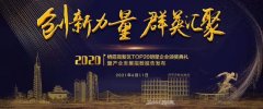 【創新力量　群英匯聚】——棲霞高新區Top20明星企業領獎暨產業發展指南報告